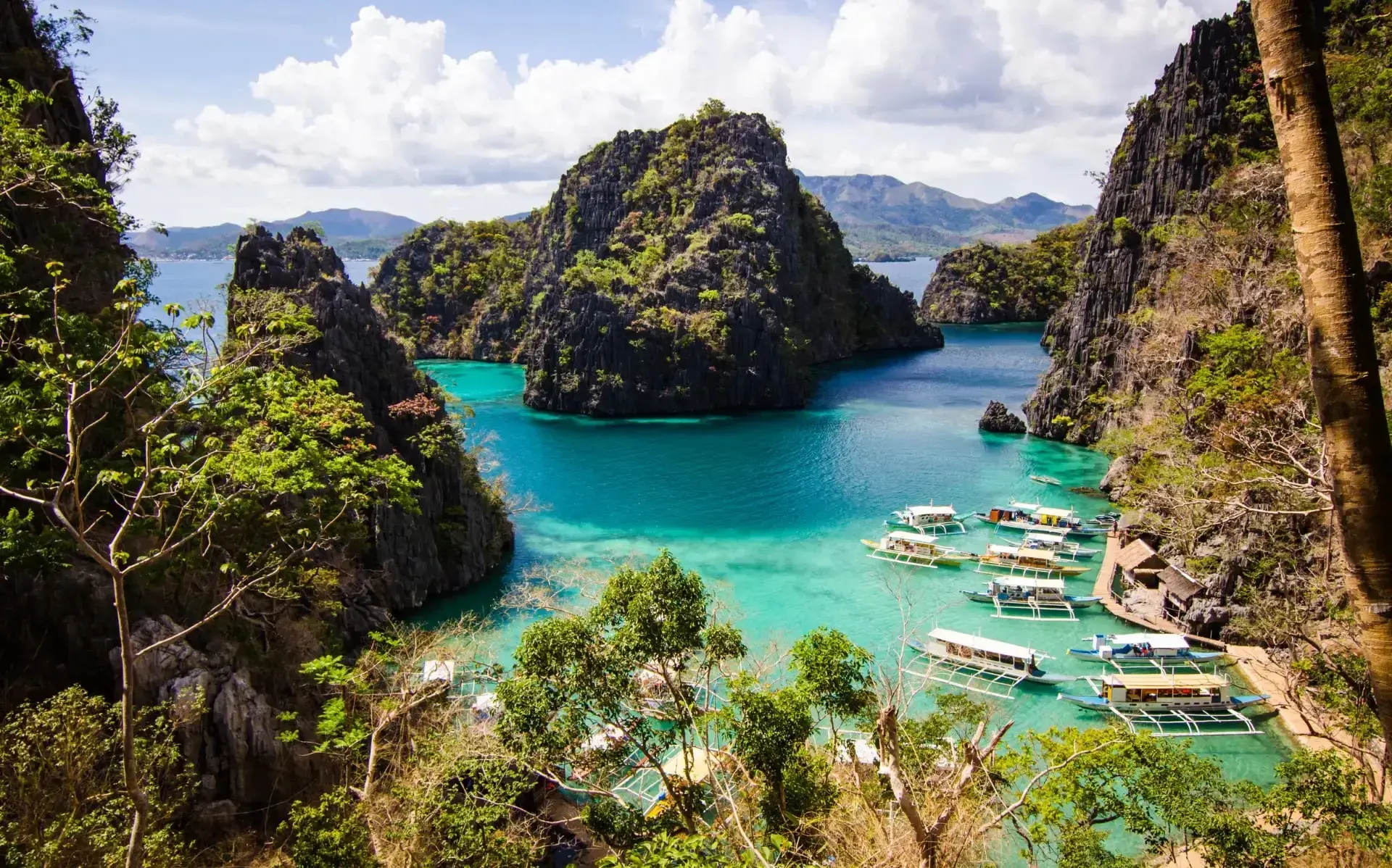 Discovery Coron